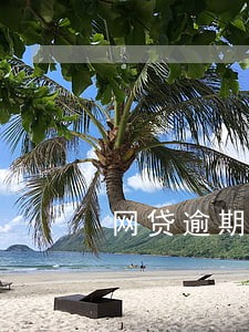 网贷逾期电话不断