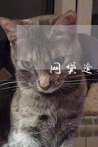 网贷逾期电话会打给那些人