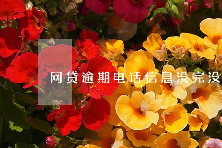 网贷逾期电话信息没完没了 网贷逾期电话信息没完没了