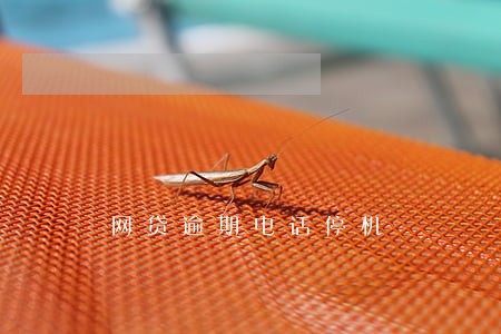 网贷逾期电话停机 网贷逾期电话停机