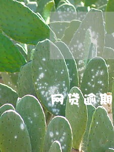 网贷逾期电话催收多久 网贷逾期电话催收多久