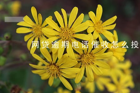 网贷逾期电话催收怎么投诉 网贷逾期电话催收怎么投诉