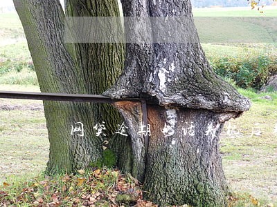 网贷逾期电话关机后果 网贷逾期电话关机后果