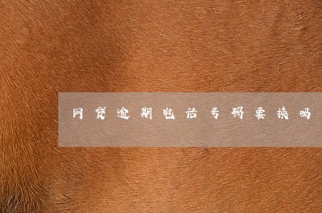 网贷逾期电话号码要换吗 网贷逾期电话号码要换吗