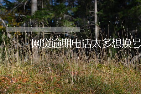 网贷逾期电话太多想换号了 网贷逾期电话太多想换号了