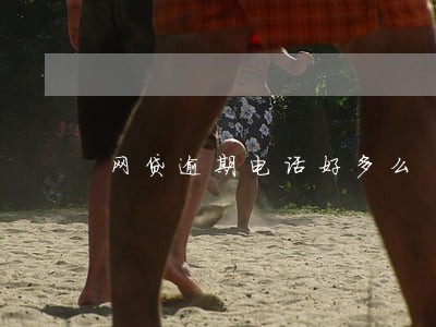 网贷逾期电话好多么 网贷逾期电话好多么