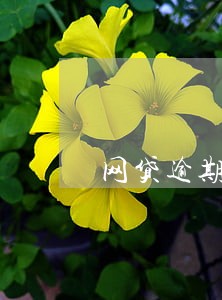 网贷逾期电话恐吓