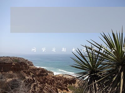 网贷逾期电话打到公司怎么办