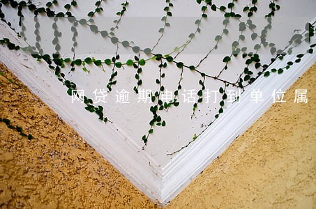 网贷逾期电话打到单位属于什么 网贷逾期电话打到单位属于什么