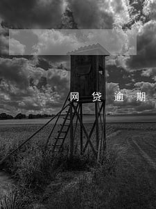 网贷逾期电话打到村委 网贷逾期电话打到村委