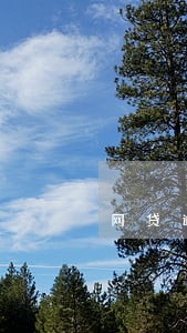网贷逾期电话打到村里 网贷逾期电话打到村里