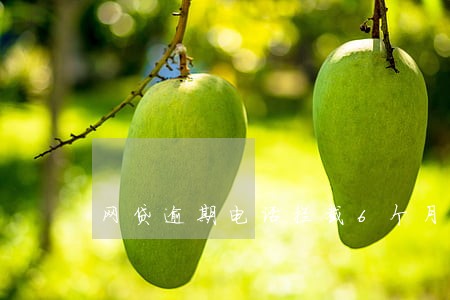 网贷逾期电话拦截6个月了 网贷逾期电话拦截6个月了