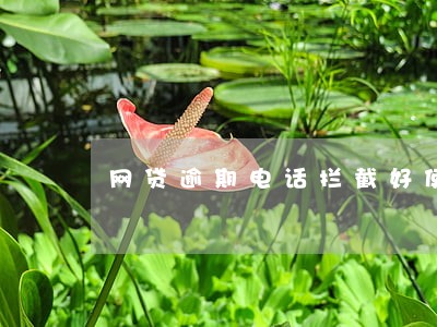 网贷逾期电话拦截好使么