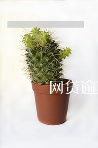 网贷逾期电话接不到