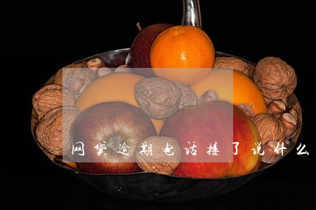 网贷逾期电话接了说什么 网贷逾期电话接了说什么