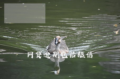 网贷逾期电话短信 网贷逾期电话短信