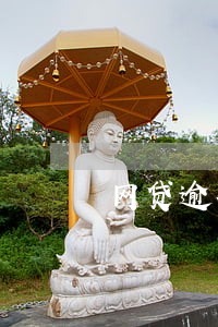 网贷逾期电话短信不停 网贷逾期电话短信不停