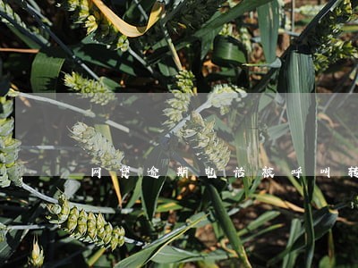 网贷逾期电话被呼叫转移 网贷逾期电话被呼叫转移
