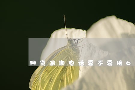 网贷逾期电话要不要接6 网贷逾期电话要不要接6