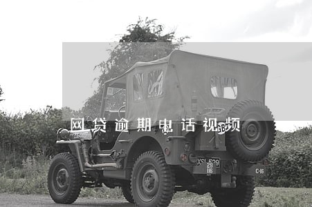 网贷逾期电话视频 网贷逾期电话视频