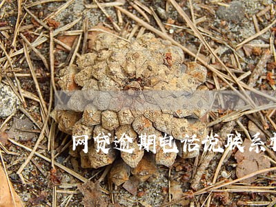 网贷逾期电话说联系村委会 网贷逾期电话说联系村委会