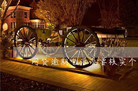 网贷逾期电话说要核实个人信息 网贷逾期电话说要核实个人信息