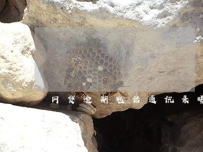 网贷逾期电话通讯录曝光