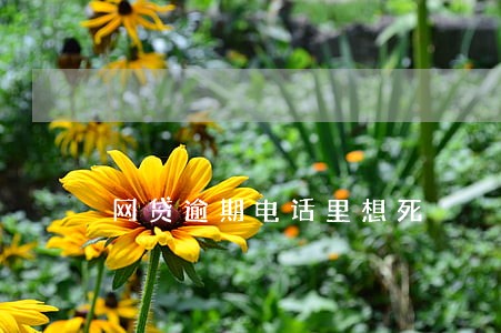 网贷逾期电话里想死 网贷逾期电话里想死