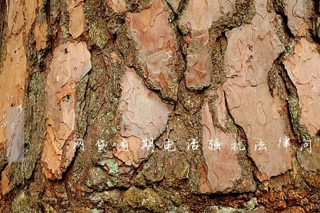 网贷逾期电话骚扰法律问题 网贷逾期电话骚扰法律问题