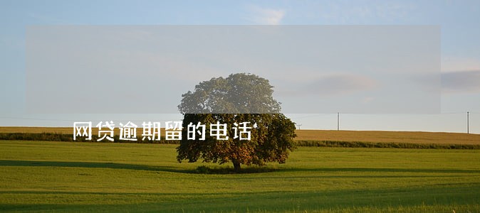 网贷逾期留的电话 网贷逾期留的电话