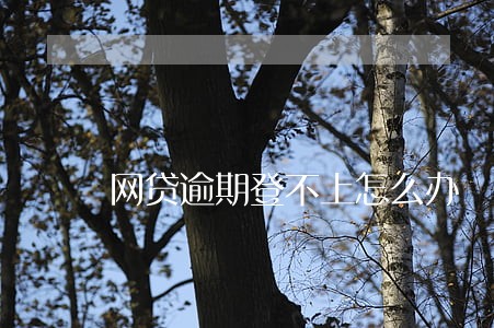 网贷逾期登不上怎么办 网贷逾期登不上怎么办