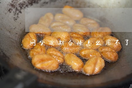 网贷逾期白条怎么用不了 网贷逾期白条怎么用不了