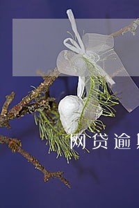 网贷逾期百度贴吧 网贷逾期百度贴吧