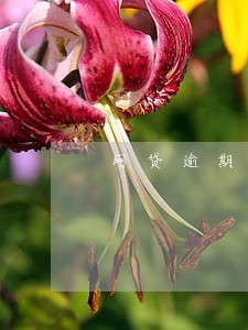 网贷逾期的5大征兆