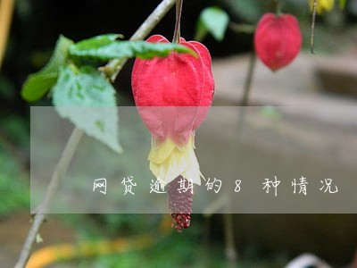 网贷逾期的8种情况 网贷逾期的8种情况