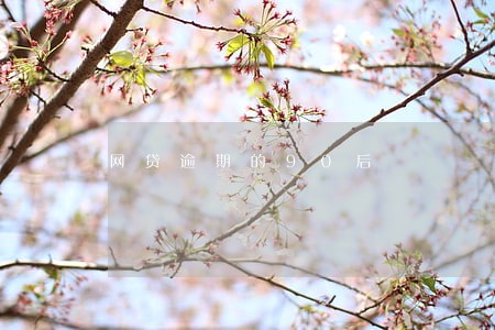 网贷逾期的90后 网贷逾期的90后