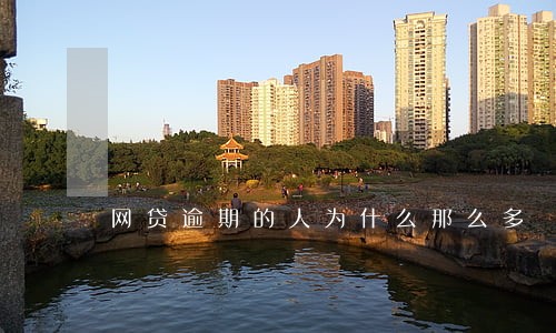 网贷逾期的人为什么那么多 网贷逾期的人为什么那么多