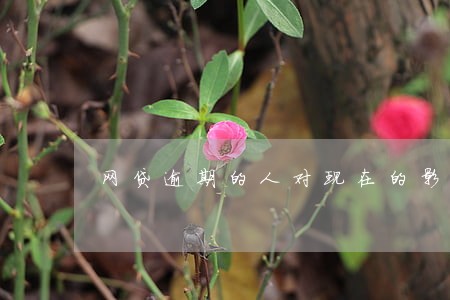 网贷逾期的人对现在的影响 网贷逾期的人对现在的影响