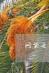 网贷逾期的人现在都在干什么 网贷逾期的人现在都在干什么