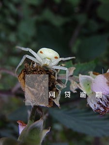 网贷逾期的人生活方式 网贷逾期的人生活方式