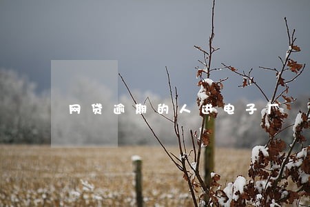 网贷逾期的人进电子厂 网贷逾期的人进电子厂