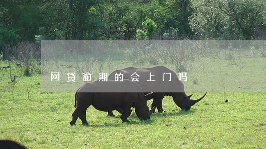网贷逾期的会上门吗 网贷逾期的会上门吗