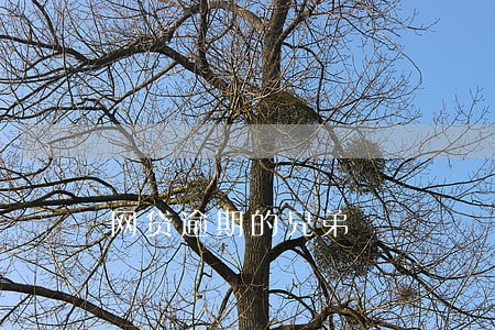 网贷逾期的兄弟 网贷逾期的兄弟