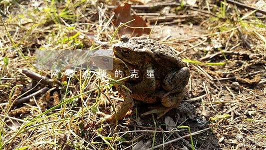 网贷逾期的克星 网贷逾期的克星