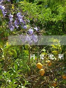 网贷逾期的利息可以追回来吗 网贷逾期的利息可以追回来吗