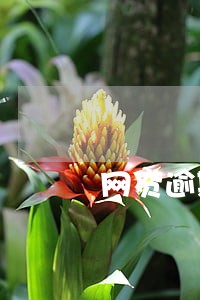 网贷逾期的利息高不高 网贷逾期的利息高不高