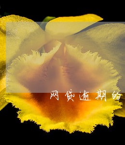 网贷逾期的协查函件 网贷逾期的协查函件
