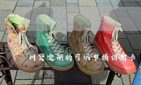 网贷逾期的可以申请信用卡 网贷逾期的可以申请信用卡