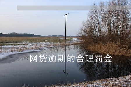 网贷逾期的合理罚金 网贷逾期的合理罚金