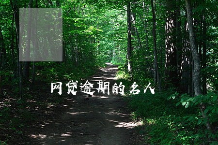 网贷逾期的名人 网贷逾期的名人